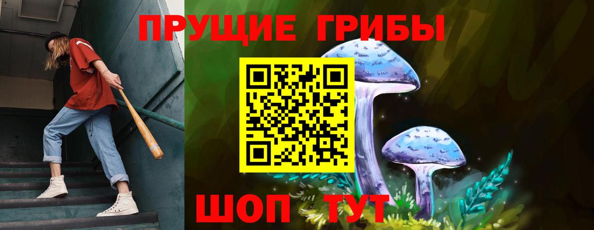 Шебекино  Галлюциногенные грибы Cubensis  Вход с VPN 